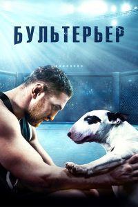 Бультерьер (2022)