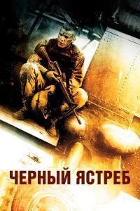 Чёрный ястреб (2001)